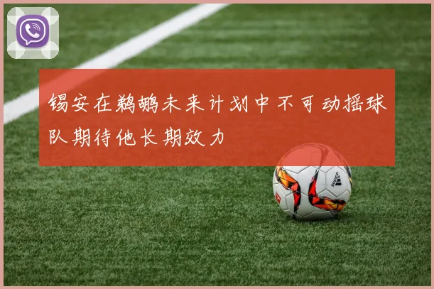 锡安在鹈鹕未来计划中不可动摇球队期待他长期效力